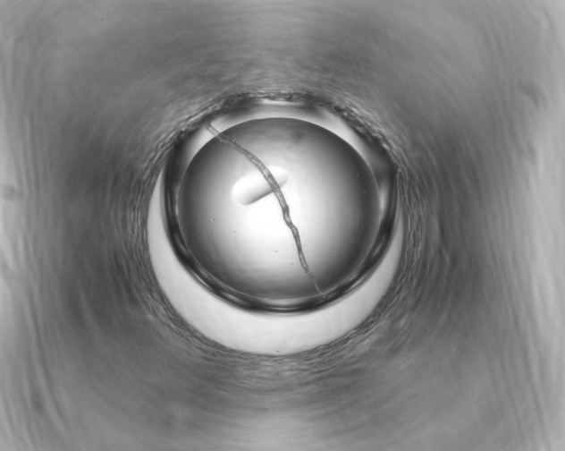X0000091241348200708091428
