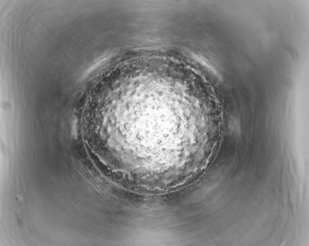 X0000091241350200708091428