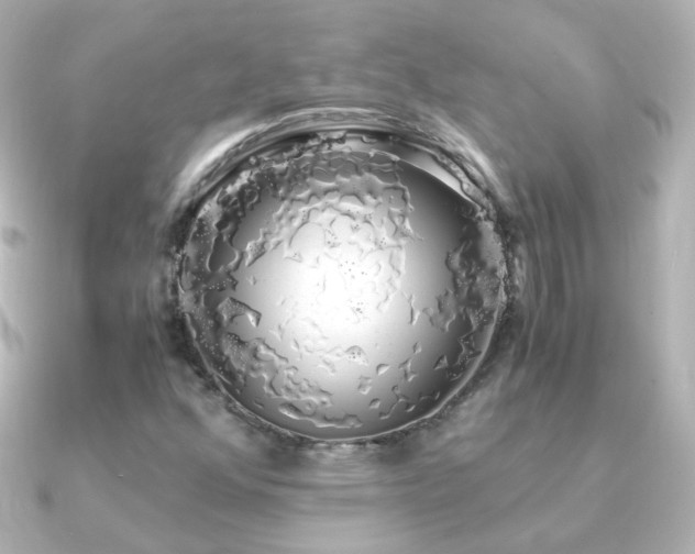 X0000091241352200708091428