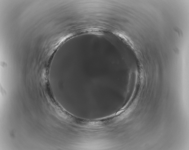 X0000091241353200708091428