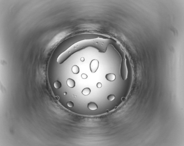 X0000091241354200708091428