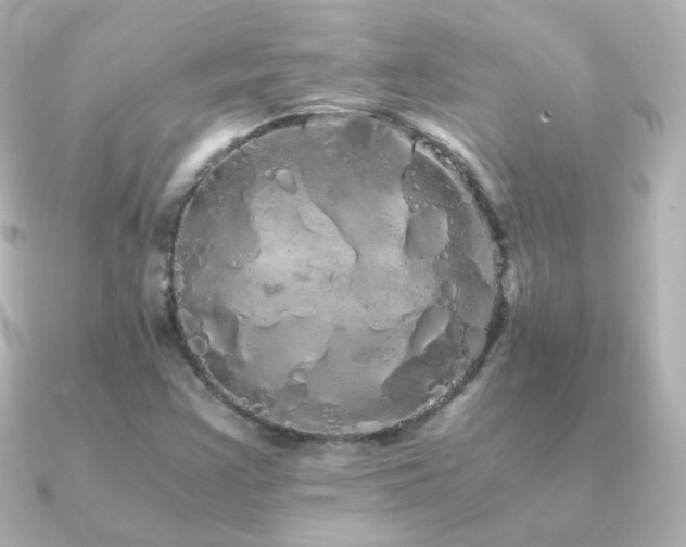 X0000091241355200708091428
