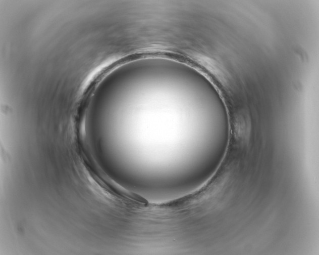 X0000091241356200708091428