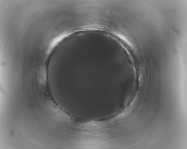 X0000091241358200708091428