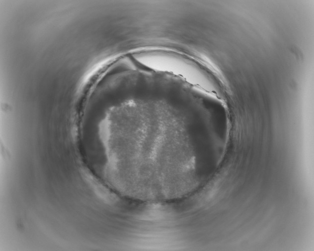 X0000091241360200708091428
