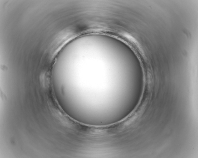 X0000091241361200708091428