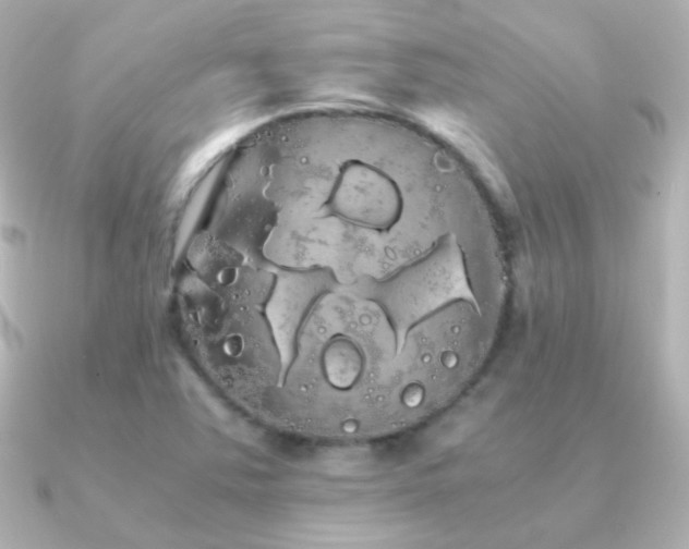 X0000091241363200708091428