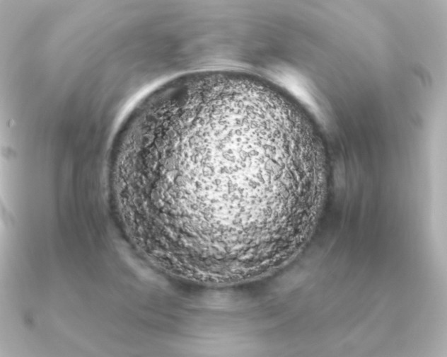 X0000091241364200708091428