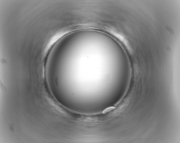 X0000091241365200708091428