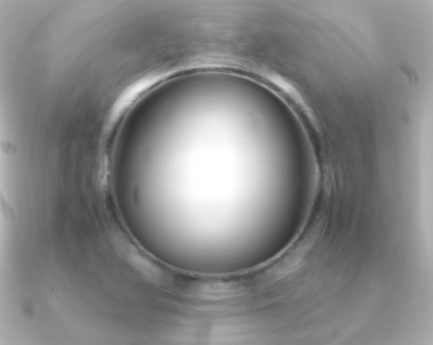 X0000091241366200708091428