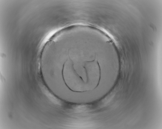 X0000091241367200708091428