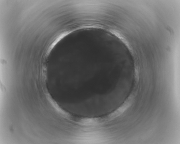 X0000091241369200708091428