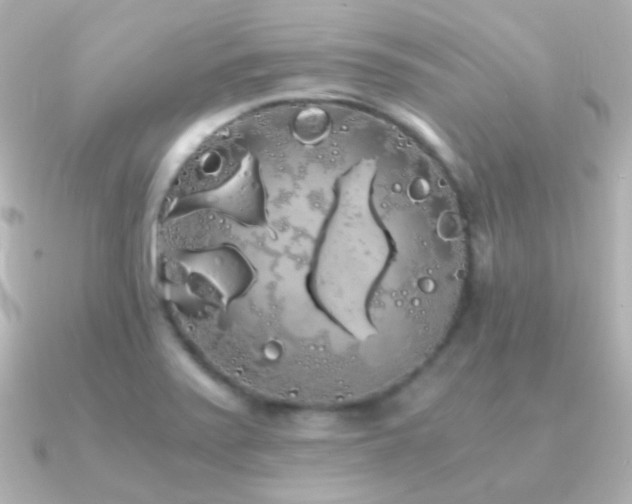 X0000091241371200708091428