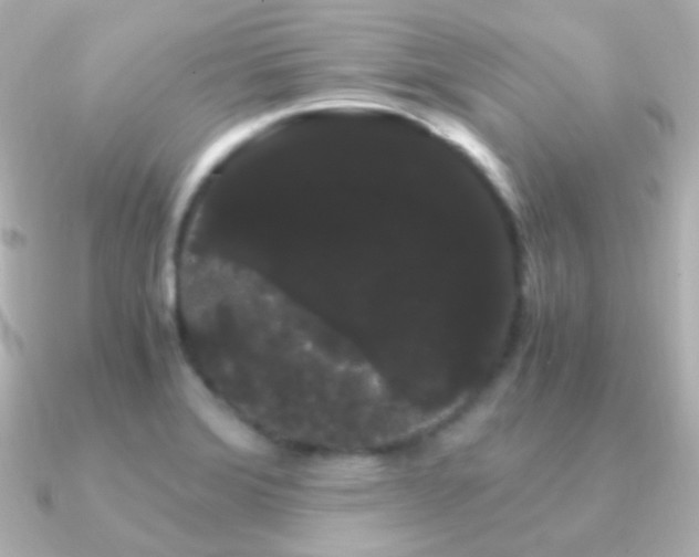 X0000091241372200708091428