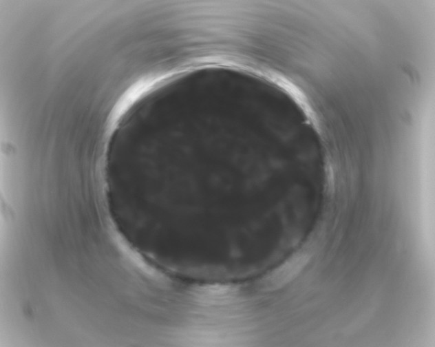 X0000091241373200708091428