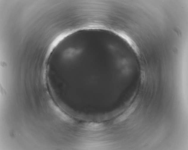 X0000091241374200708091428