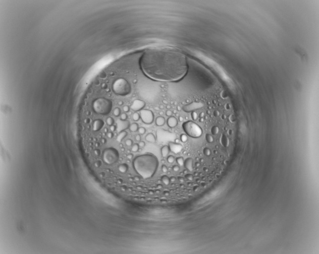 X0000091241375200708091428