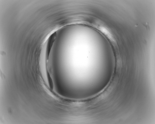 X0000091241377200708091428