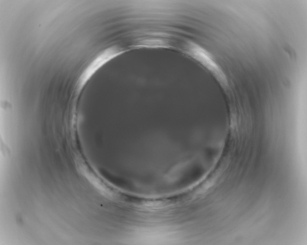 X0000091241378200708091428