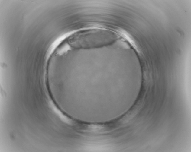 X0000091241379200708091428