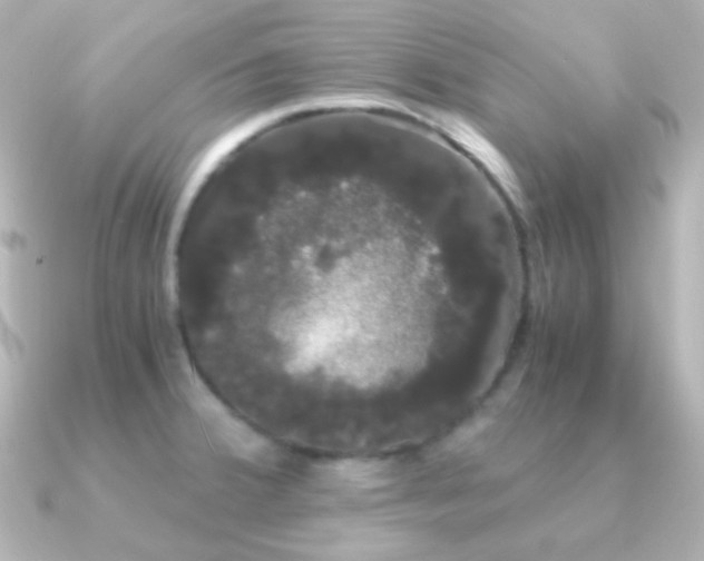 X0000091241380200708091428