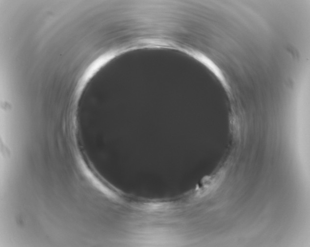 X0000091241381200708091428