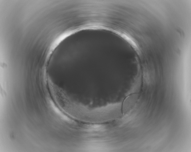X0000091241382200708091428