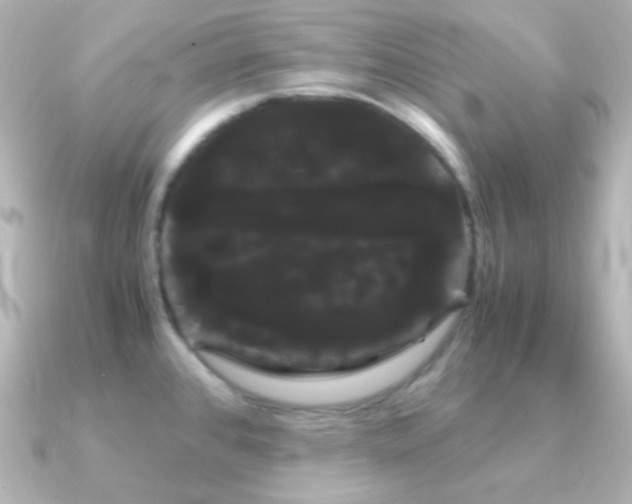 X0000091241384200708091428