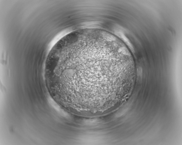 X0000091241386200708091428