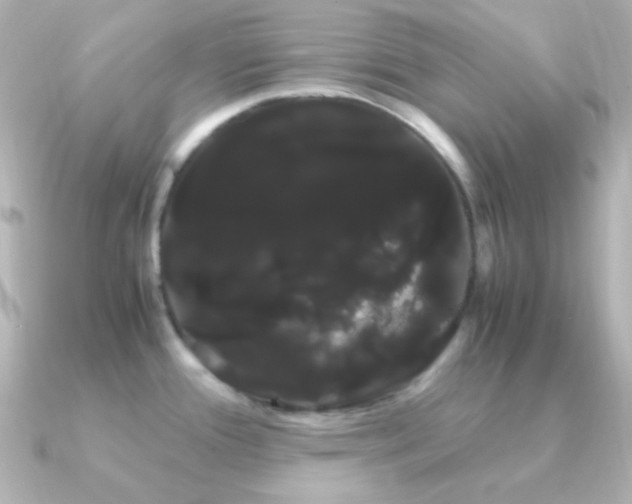 X0000091241388200708091428