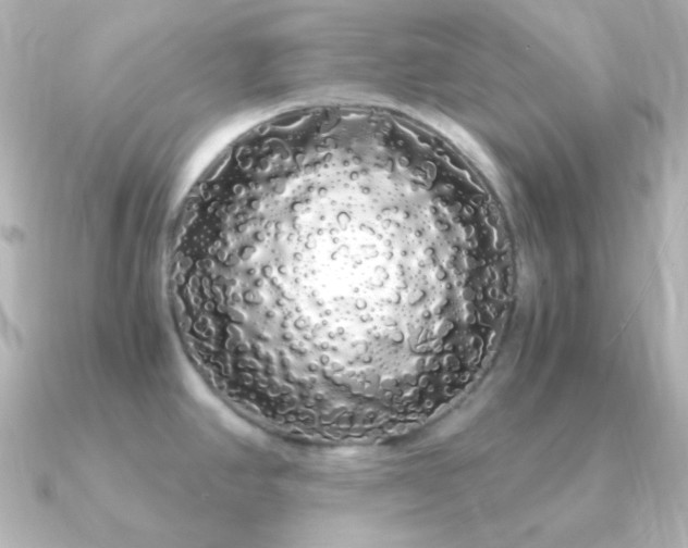 X0000091241390200708091427