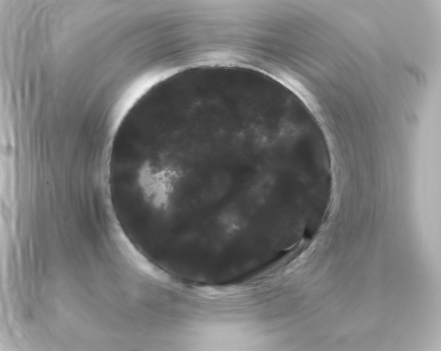 X0000091241392200708091427