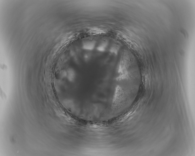X0000091241393200708091427