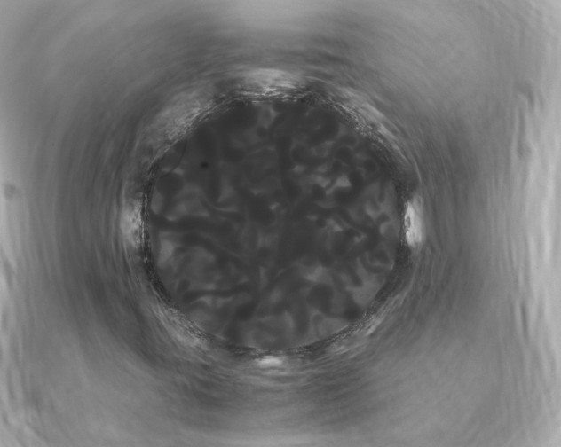 X0000091241395200708091427