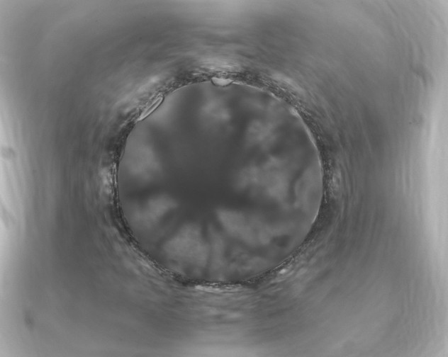 X0000091241397200708091427