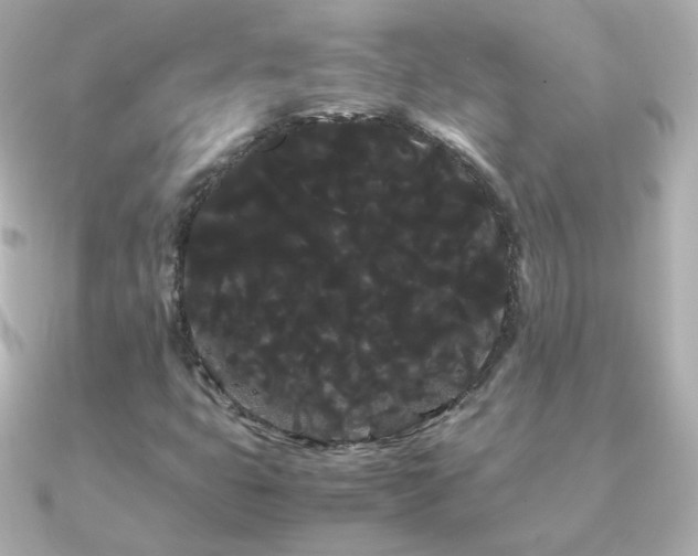 X0000091241399200708091427