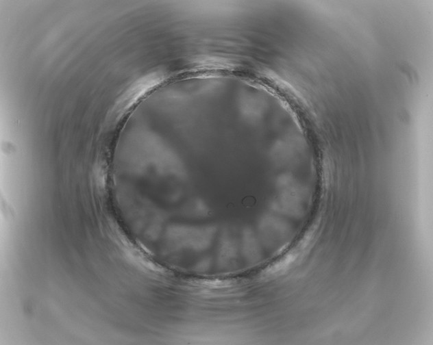 X0000091241401200708091427