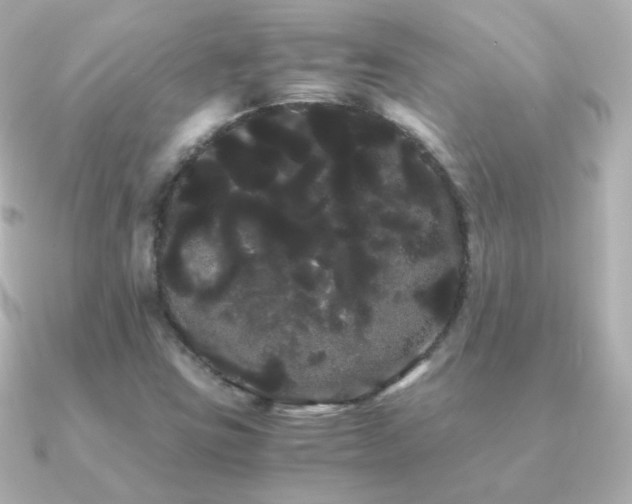 X0000091241403200708091427