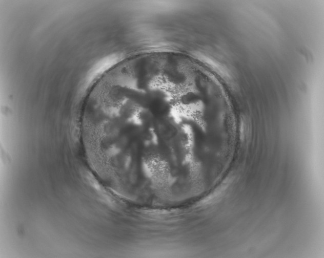 X0000091241405200708091427
