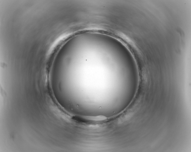 X0000091241408200708091427