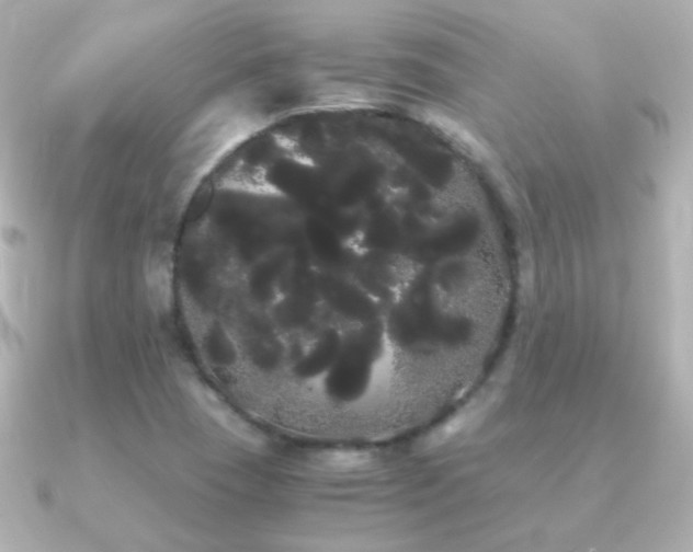 X0000091241409200708091427