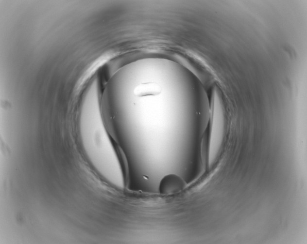 X0000091241410200708091427
