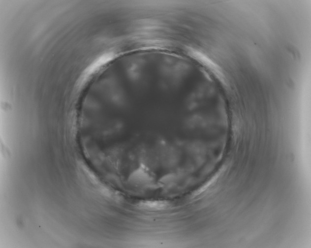 X0000091241411200708091427