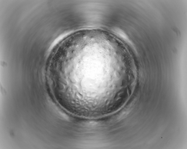 X0000091241412200708091427