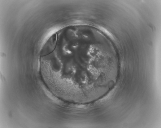 X0000091241413200708091427