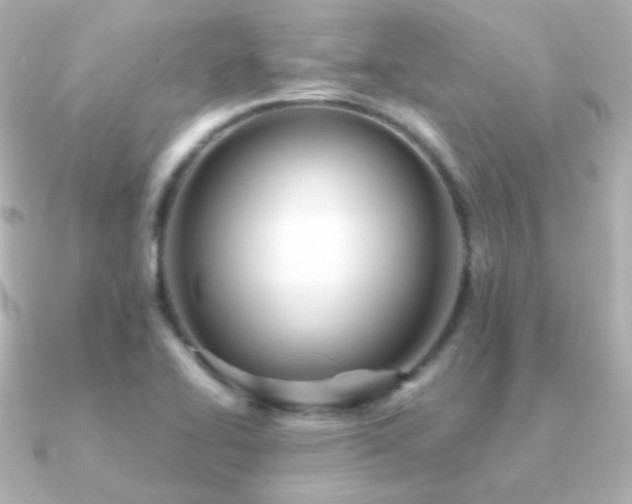 X0000091241414200708091427