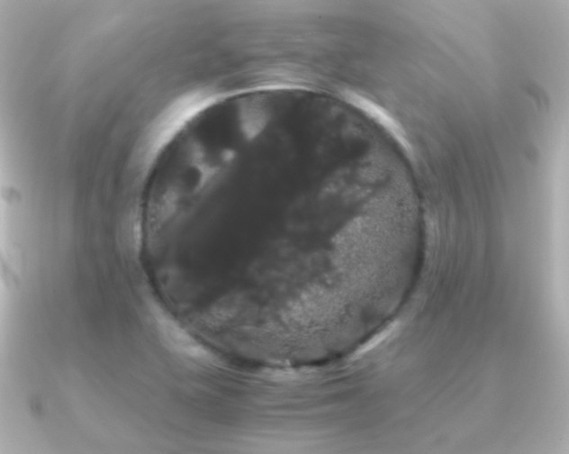 X0000091241415200708091427