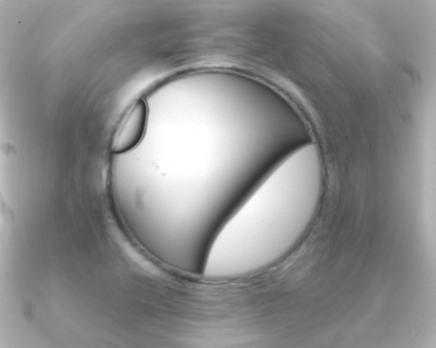 X0000091241416200708091427
