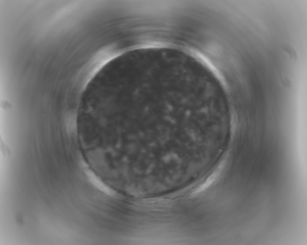X0000091241417200708091427