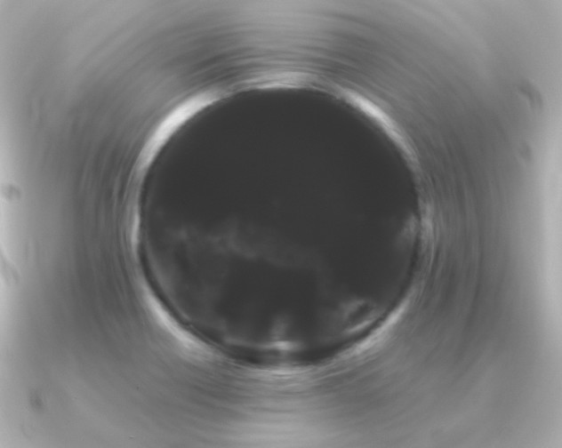 X0000091241418200708091427